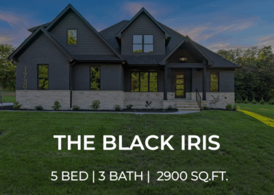 The Black Iris