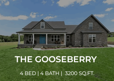 The Gooseberry